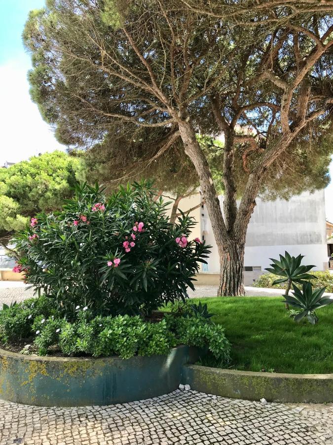 Pine Apartment - A 3M Da Ciclovia Guincho Cascais Ngoại thất bức ảnh